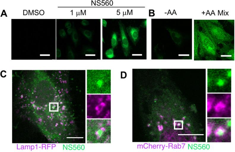 https://cdn.ncbi.nlm.nih.gov/pmc/blobs/1b99/10214525/217ab0708c17/oc2c01325_0002.jpg