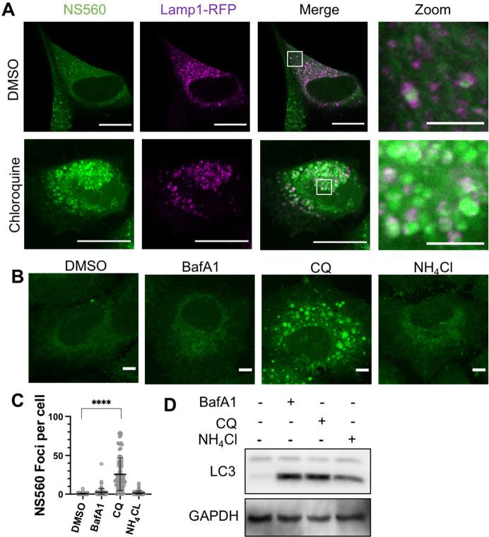 https://cdn.ncbi.nlm.nih.gov/pmc/blobs/1b99/10214525/4643cd772683/oc2c01325_0003.jpg