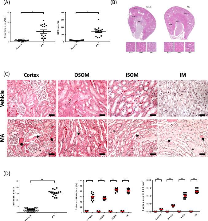 https://cdn.ncbi.nlm.nih.gov/pmc/blobs/1b99/11055741/335483935ac5/10495_2023_1897_Fig1_HTML.jpg