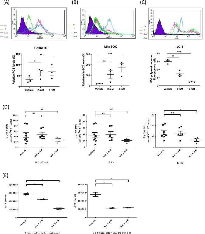 https://cdn.ncbi.nlm.nih.gov/pmc/blobs/1b99/11055741/505d2c539d14/10495_2023_1897_Fig3_HTML.jpg