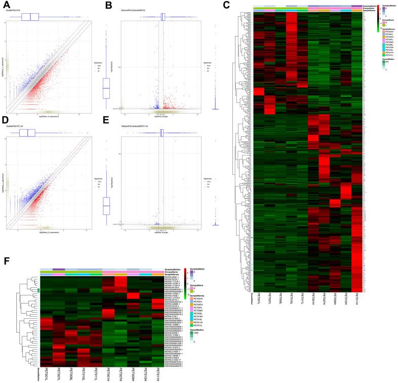 https://cdn.ncbi.nlm.nih.gov/pmc/blobs/1b99/8034958/1a9bef1de974/aging-13-202634-g001.jpg