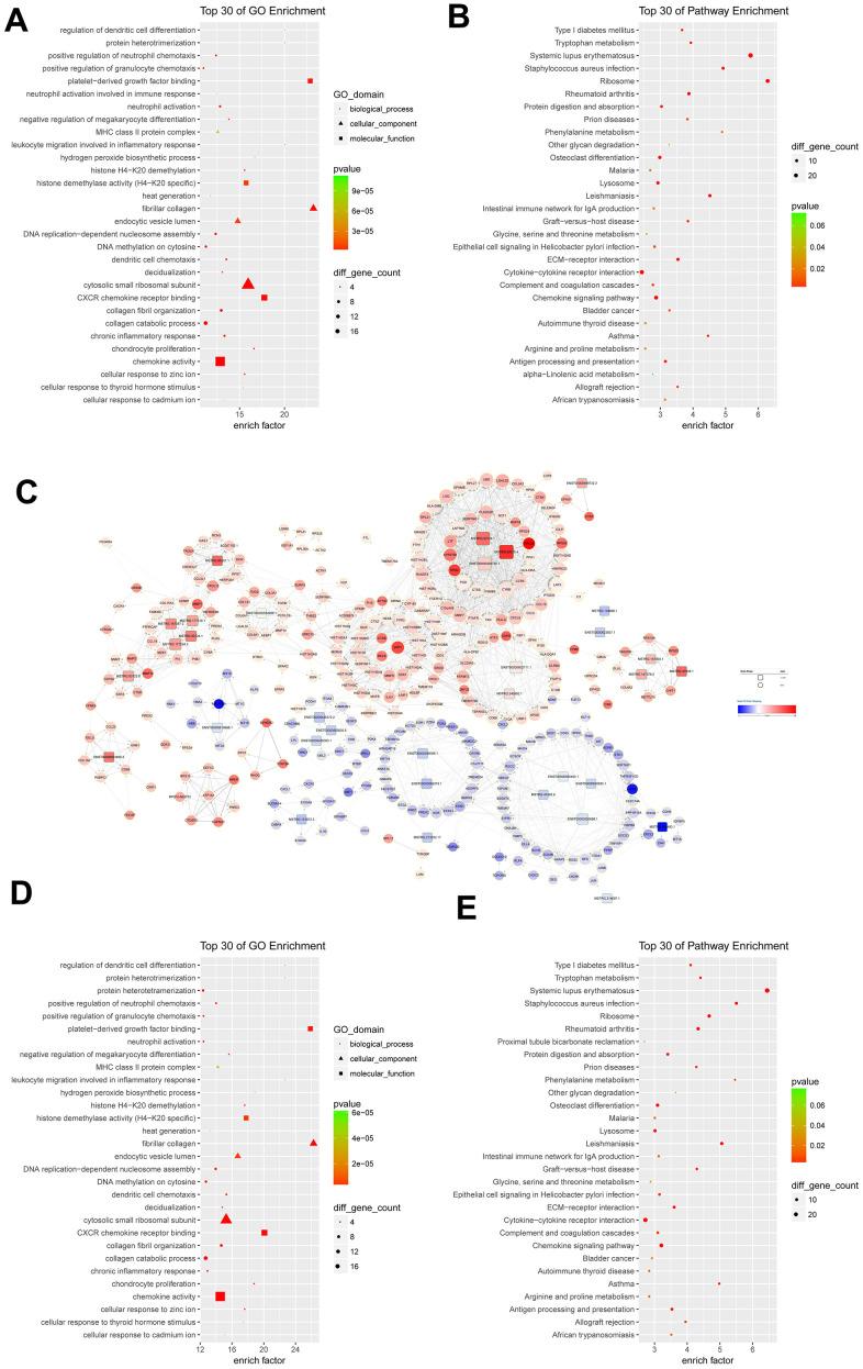 https://cdn.ncbi.nlm.nih.gov/pmc/blobs/1b99/8034958/53b2cfcc7744/aging-13-202634-g002.jpg