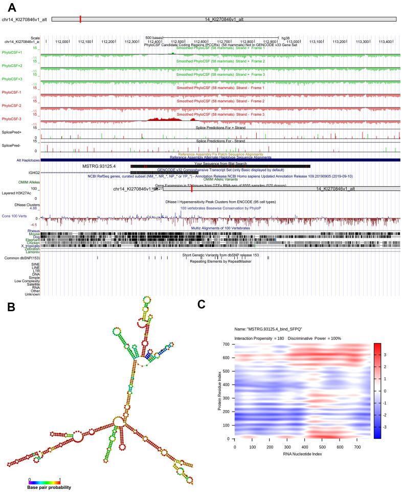 https://cdn.ncbi.nlm.nih.gov/pmc/blobs/1b99/8034958/6e3eb1ebb878/aging-13-202634-g006.jpg