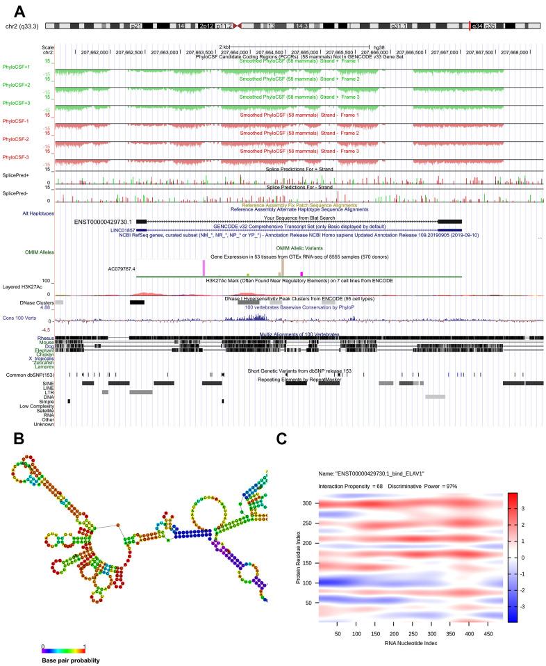 https://cdn.ncbi.nlm.nih.gov/pmc/blobs/1b99/8034958/a43804f73852/aging-13-202634-g005.jpg