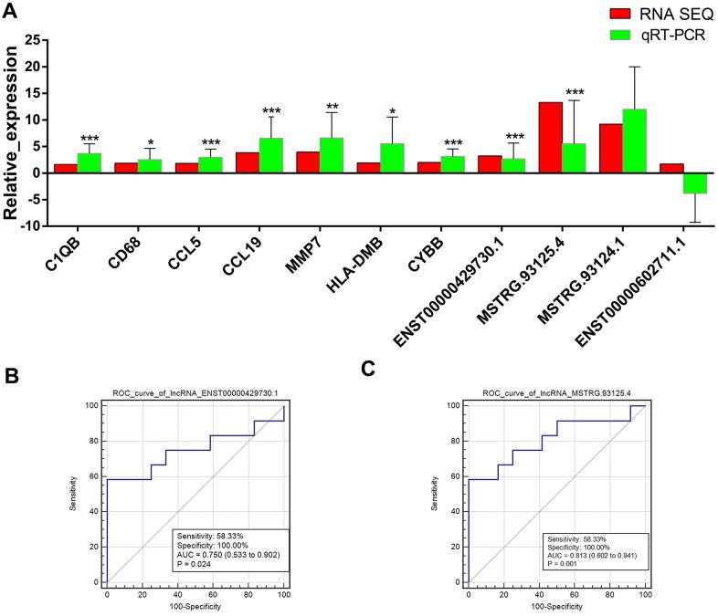 https://cdn.ncbi.nlm.nih.gov/pmc/blobs/1b99/8034958/d9cd561713e9/aging-13-202634-g004.jpg