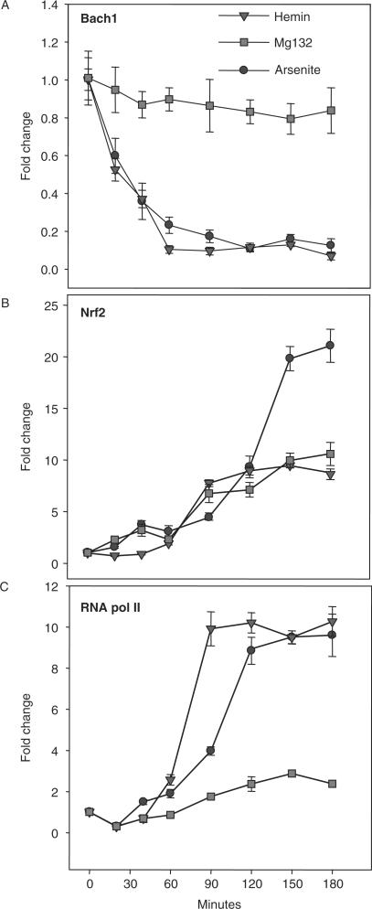 https://cdn.ncbi.nlm.nih.gov/pmc/blobs/1b9a/2175339/b62fb58237ea/gkm638f4.jpg