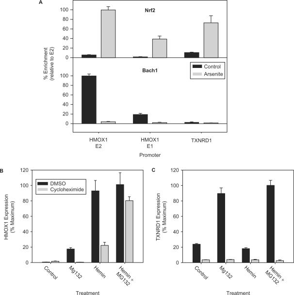 https://cdn.ncbi.nlm.nih.gov/pmc/blobs/1b9a/2175339/d6f0a7c1883b/gkm638f6.jpg