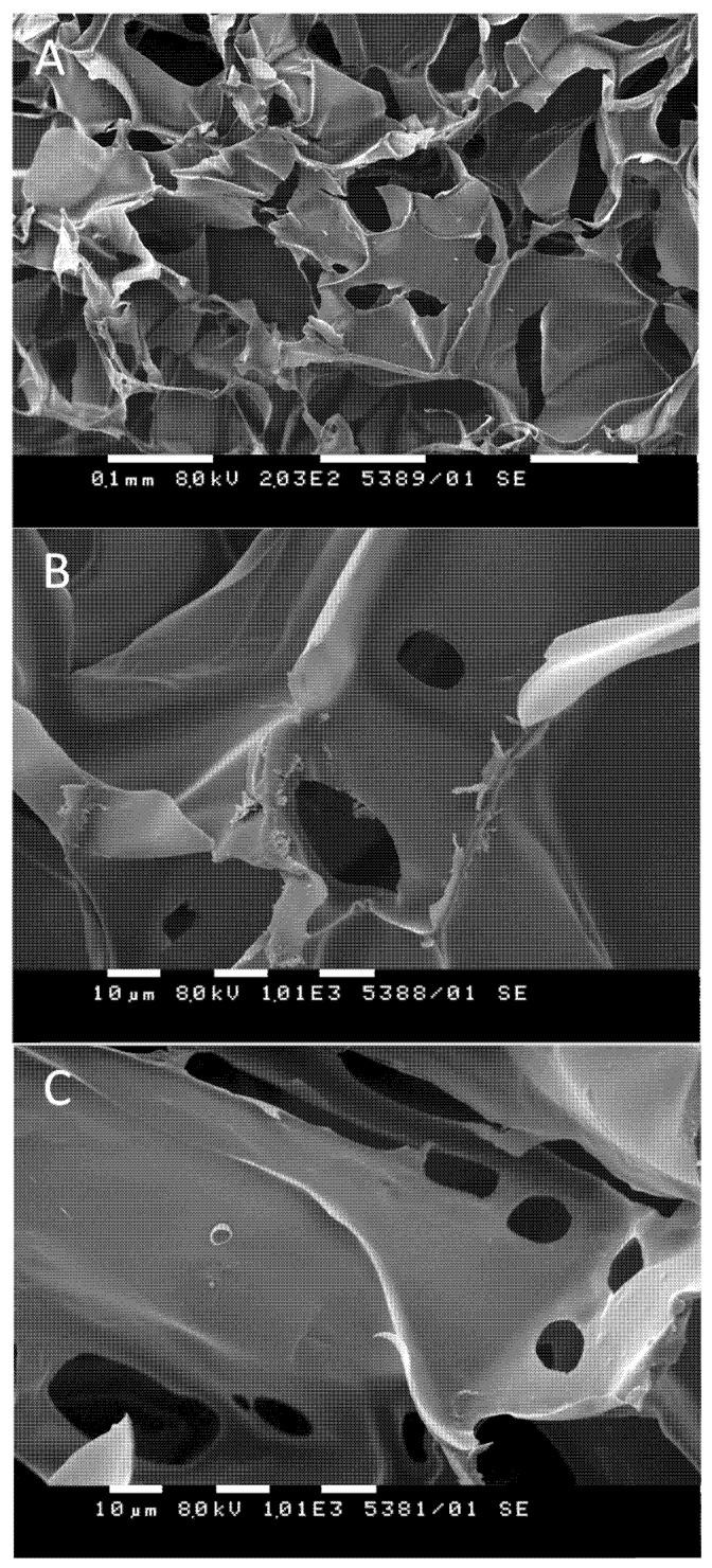 https://cdn.ncbi.nlm.nih.gov/pmc/blobs/1b9b/8618209/050ef6f71293/pharmaceutics-13-01774-g005.jpg