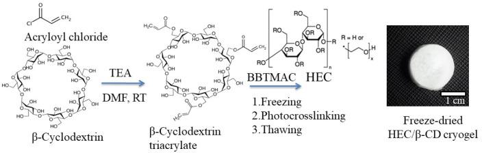 https://cdn.ncbi.nlm.nih.gov/pmc/blobs/1b9b/8618209/bacaec32e080/pharmaceutics-13-01774-g001.jpg