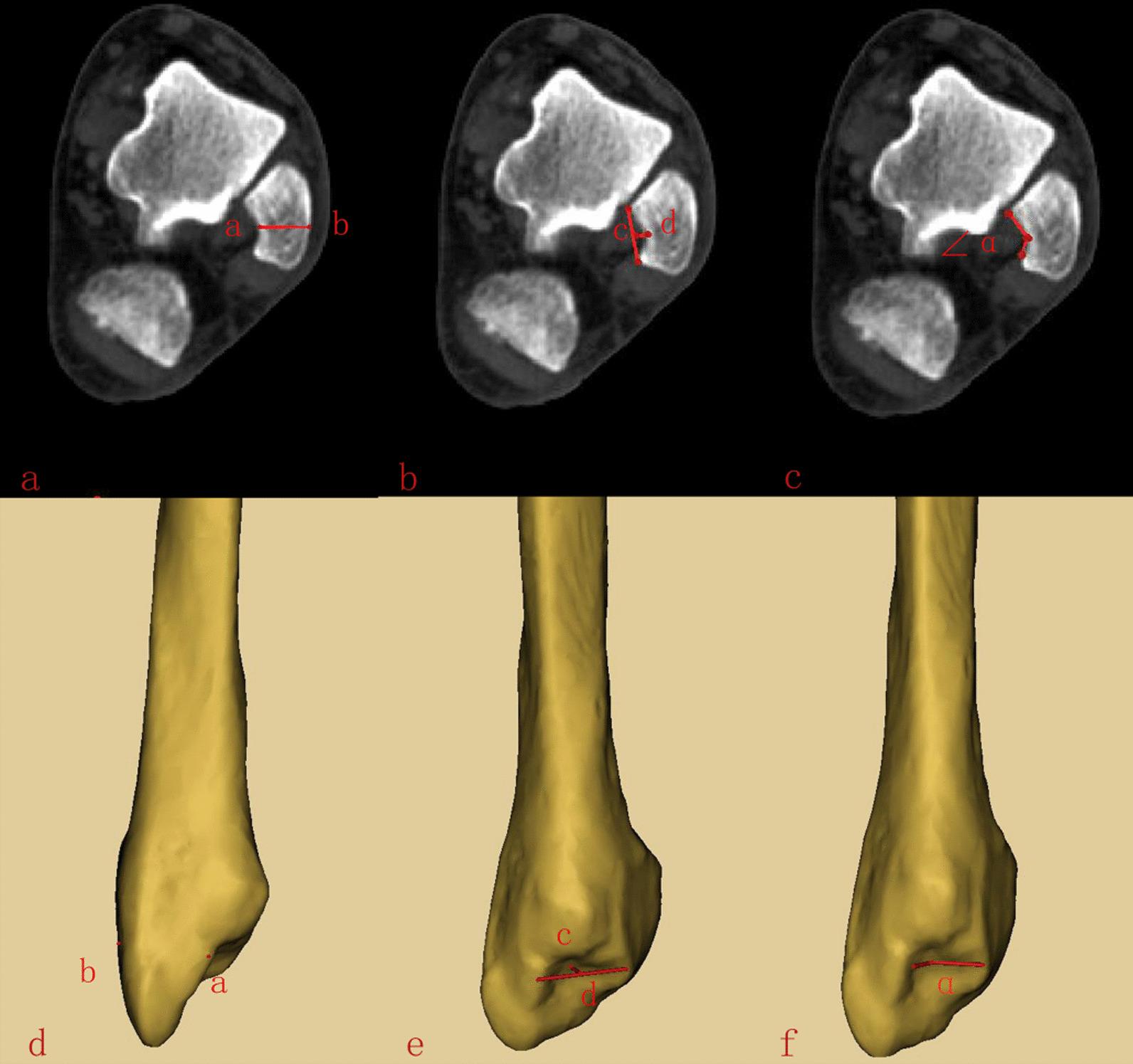 https://cdn.ncbi.nlm.nih.gov/pmc/blobs/1b9c/10514986/e99c366e6238/13018_2023_4194_Fig2_HTML.jpg