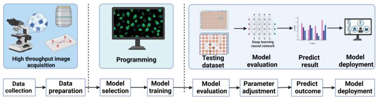 https://cdn.ncbi.nlm.nih.gov/pmc/blobs/1b9d/12024602/0b6e5609d532/biosensors-15-00220-g006.jpg
