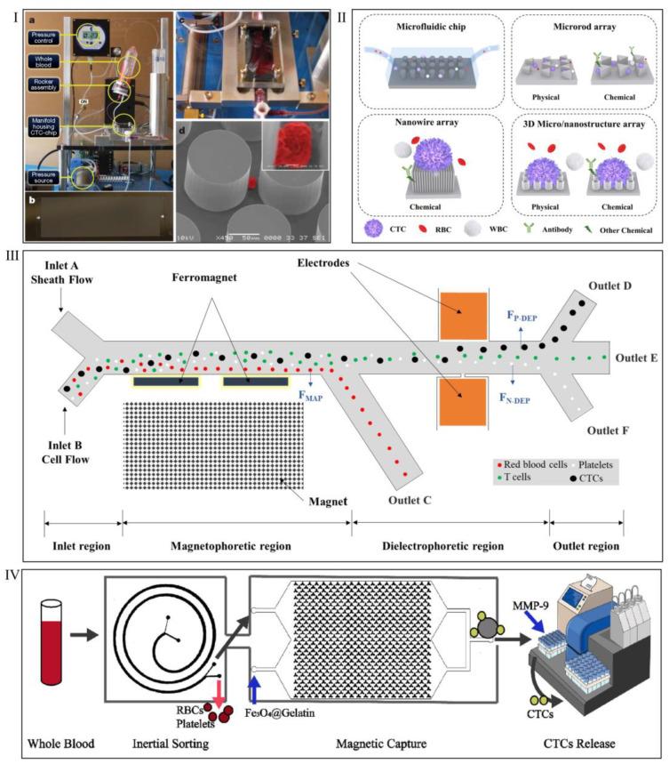 https://cdn.ncbi.nlm.nih.gov/pmc/blobs/1b9d/12024602/17d40ee0da9e/biosensors-15-00220-g003.jpg