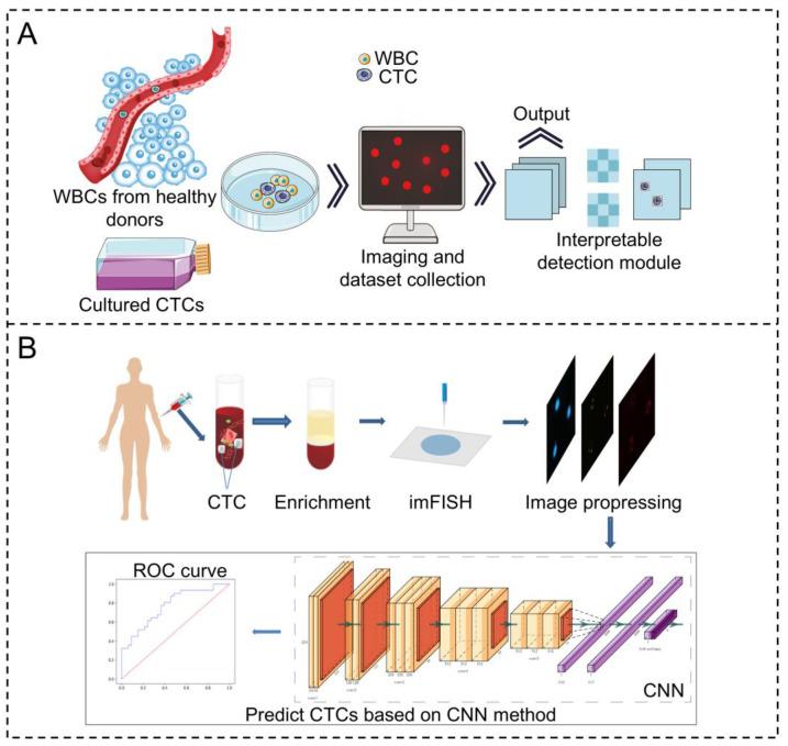 https://cdn.ncbi.nlm.nih.gov/pmc/blobs/1b9d/12024602/3a8d9f1f37ee/biosensors-15-00220-g004.jpg