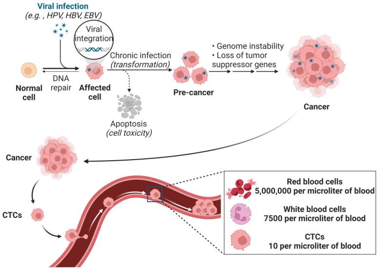 https://cdn.ncbi.nlm.nih.gov/pmc/blobs/1b9d/12024602/789bcfe3b59f/biosensors-15-00220-g001.jpg