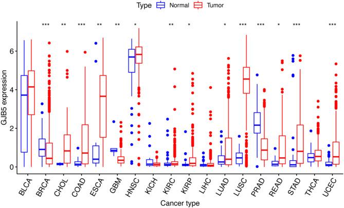 https://cdn.ncbi.nlm.nih.gov/pmc/blobs/1ba2/12038054/319aae7c369d/41598_2025_96389_Fig1_HTML.jpg