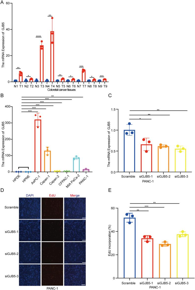 https://cdn.ncbi.nlm.nih.gov/pmc/blobs/1ba2/12038054/83a1c28ff61c/41598_2025_96389_Fig12_HTML.jpg
