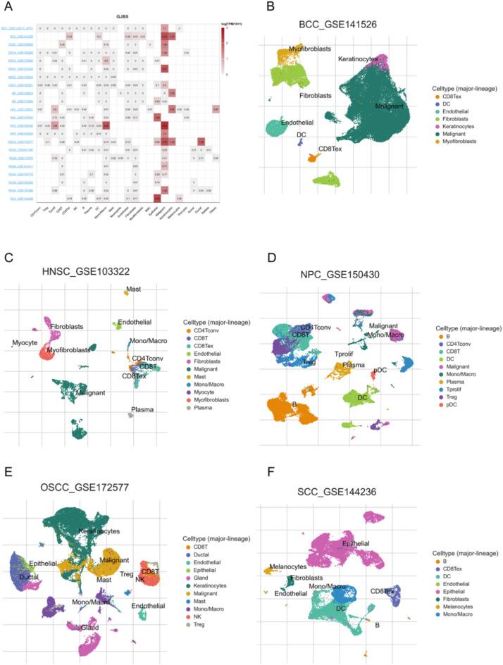 https://cdn.ncbi.nlm.nih.gov/pmc/blobs/1ba2/12038054/8677e836b2ad/41598_2025_96389_Fig5_HTML.jpg