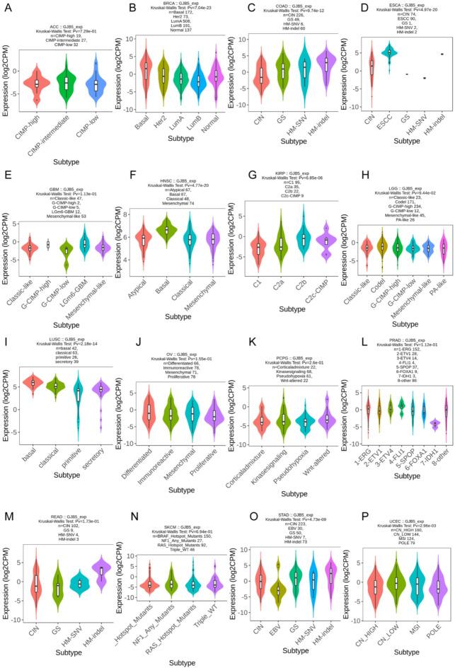 https://cdn.ncbi.nlm.nih.gov/pmc/blobs/1ba2/12038054/9588b6e4c953/41598_2025_96389_Fig3_HTML.jpg