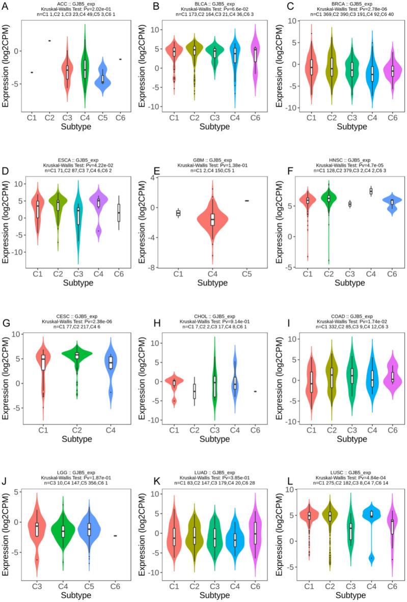 https://cdn.ncbi.nlm.nih.gov/pmc/blobs/1ba2/12038054/960d69731077/41598_2025_96389_Fig7_HTML.jpg