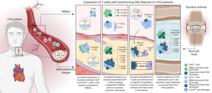 https://cdn.ncbi.nlm.nih.gov/pmc/blobs/1ba3/11041750/1a185d21b7e1/44161_2022_208_Fig7_HTML.jpg