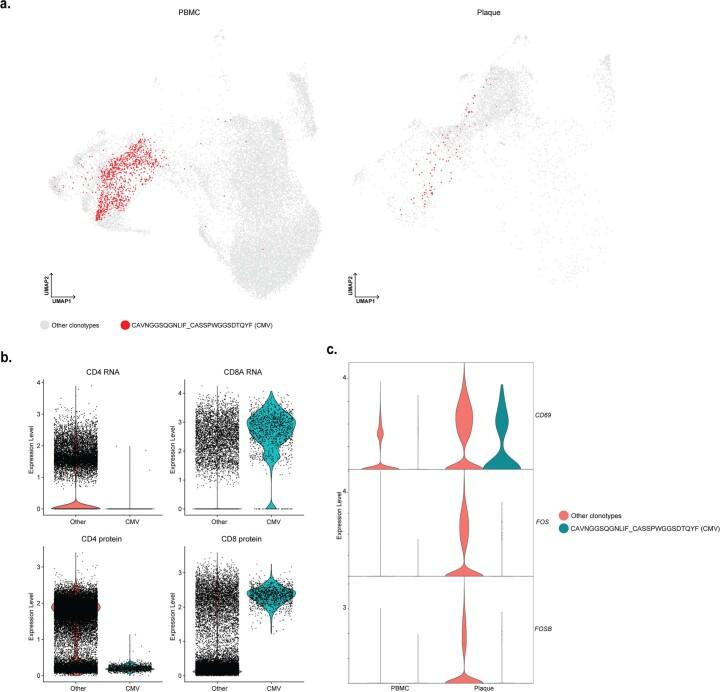 https://cdn.ncbi.nlm.nih.gov/pmc/blobs/1ba3/11041750/52d2ba17feca/44161_2022_208_Fig11_ESM.jpg