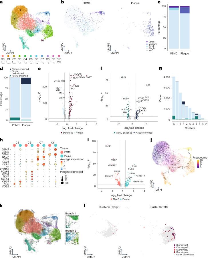 https://cdn.ncbi.nlm.nih.gov/pmc/blobs/1ba3/11041750/d6e70c0d4941/44161_2022_208_Fig4_HTML.jpg