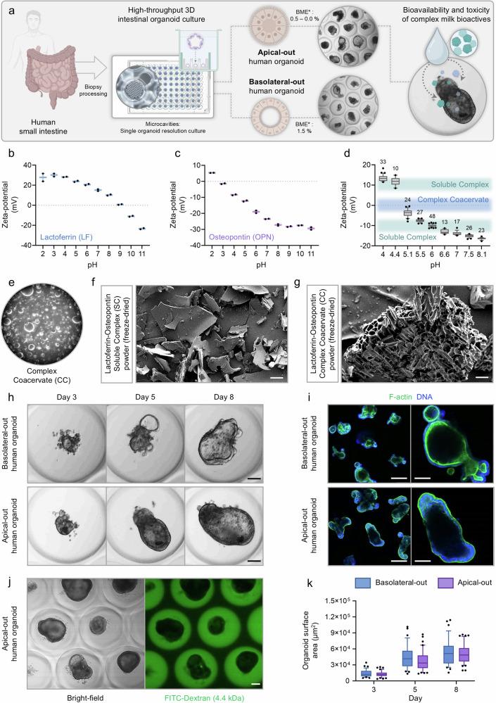 https://cdn.ncbi.nlm.nih.gov/pmc/blobs/1ba5/12238561/ab6c39ff1650/42003_2025_8460_Fig1_HTML.jpg