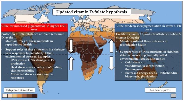 https://cdn.ncbi.nlm.nih.gov/pmc/blobs/1ba5/5986434/cdced03b1c57/nutrients-10-00554-g001.jpg