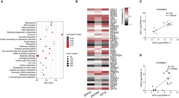 https://cdn.ncbi.nlm.nih.gov/pmc/blobs/1ba6/9260689/6bf7d26a5abd/fvets-09-921406-g0002.jpg