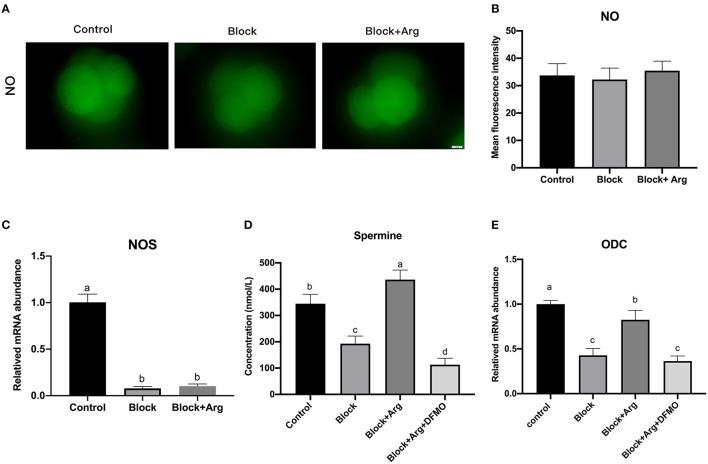 https://cdn.ncbi.nlm.nih.gov/pmc/blobs/1ba6/9260689/b9f35b5a4429/fvets-09-921406-g0005.jpg