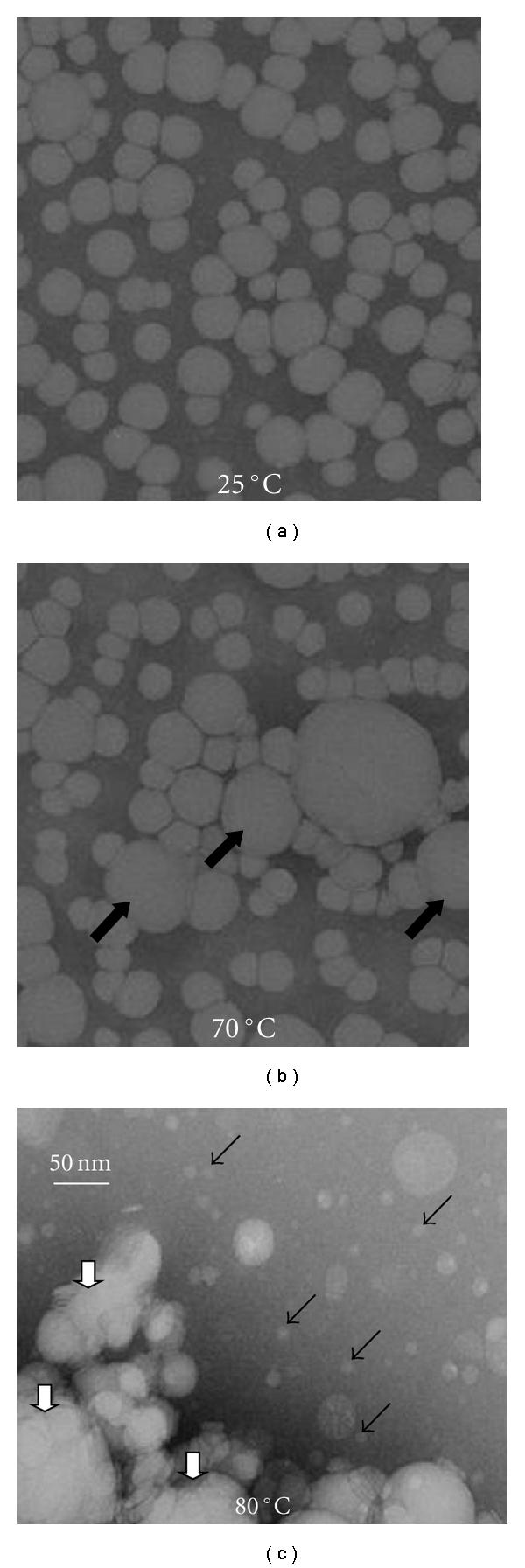 https://cdn.ncbi.nlm.nih.gov/pmc/blobs/1ba9/3136112/55f751fe1d39/JL2011-493720.003.jpg