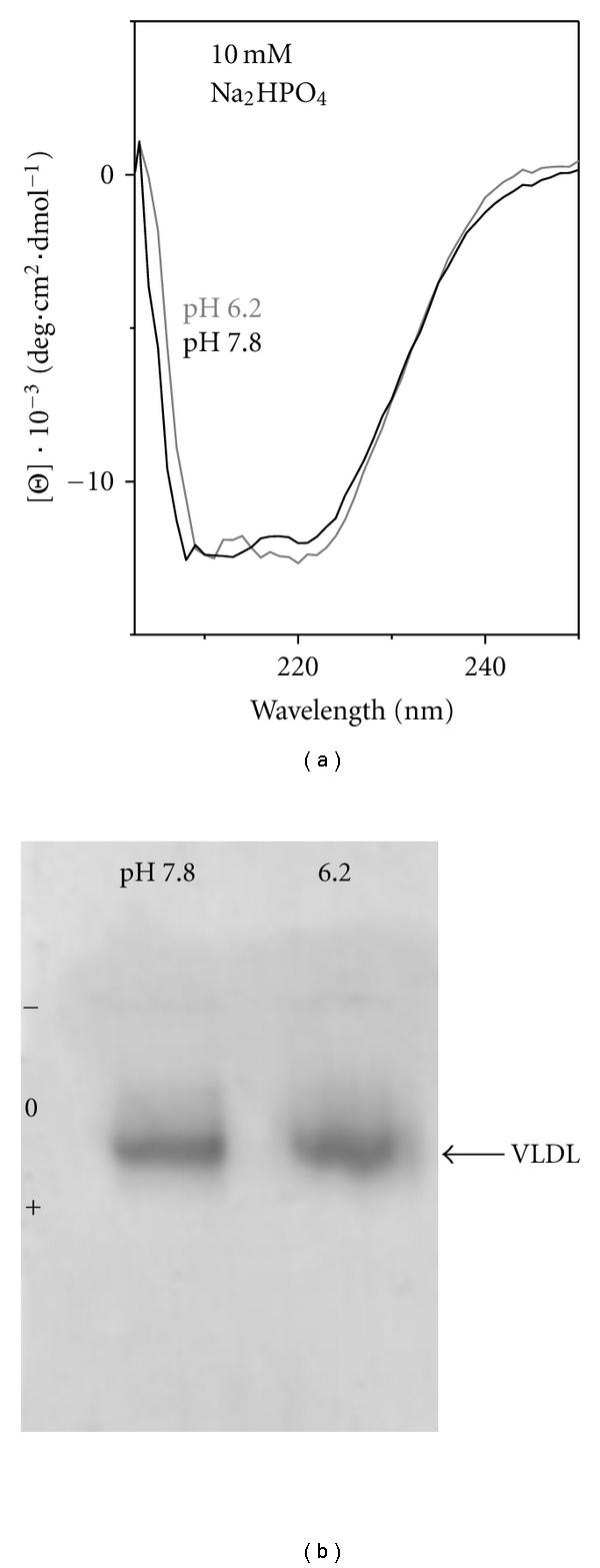 https://cdn.ncbi.nlm.nih.gov/pmc/blobs/1ba9/3136112/9a6886a8659c/JL2011-493720.002.jpg