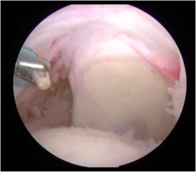 https://cdn.ncbi.nlm.nih.gov/pmc/blobs/1bac/10533940/e4899d1c8345/gr2.jpg