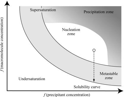 https://cdn.ncbi.nlm.nih.gov/pmc/blobs/1bac/2644911/f5d16cc5ad7a/d-64-01240-fig1.jpg