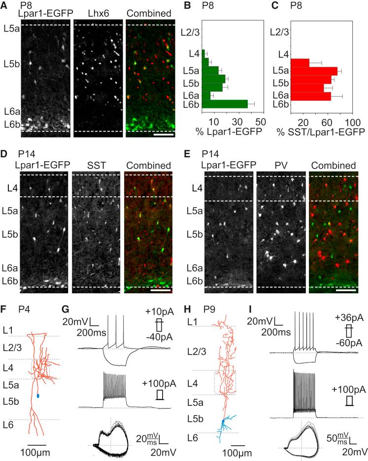 https://cdn.ncbi.nlm.nih.gov/pmc/blobs/1bac/4742537/644745a57342/gr1.jpg