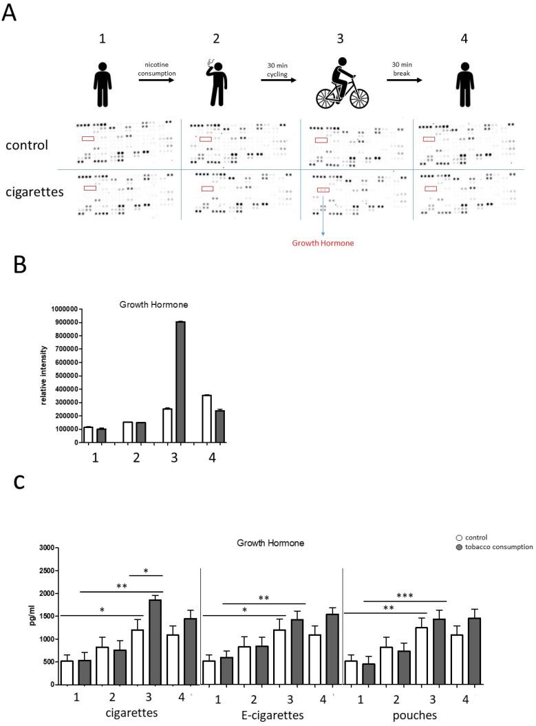 https://cdn.ncbi.nlm.nih.gov/pmc/blobs/1bb1/12197595/c1e2bd97d9c9/toxics-13-00472-g005.jpg
