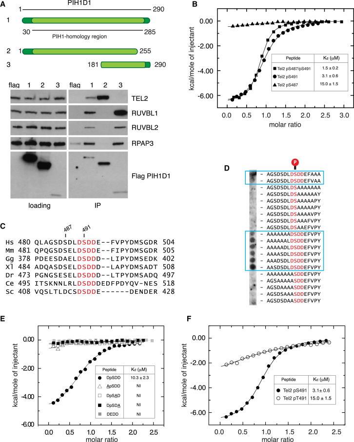 https://cdn.ncbi.nlm.nih.gov/pmc/blobs/1bb2/3989777/b12f27d6c28d/gr1.jpg