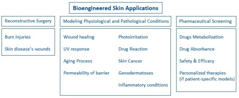 https://cdn.ncbi.nlm.nih.gov/pmc/blobs/1bb3/6470977/52c25c181961/ijms-20-01407-g002.jpg