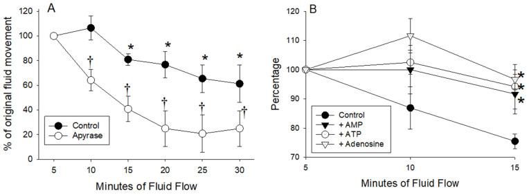 https://cdn.ncbi.nlm.nih.gov/pmc/blobs/1bb3/7931054/64611a051d55/medsci-09-00009-g010.jpg