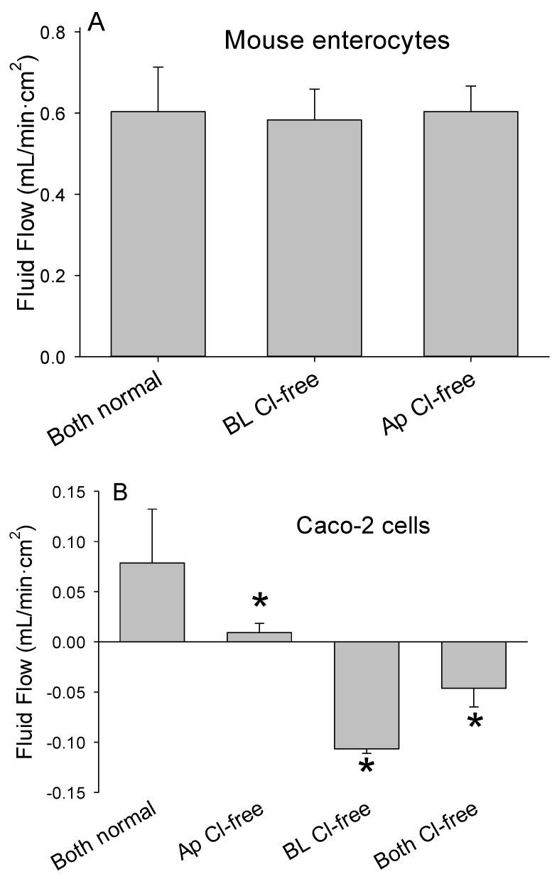 https://cdn.ncbi.nlm.nih.gov/pmc/blobs/1bb3/7931054/cabbfa4af183/medsci-09-00009-g007.jpg