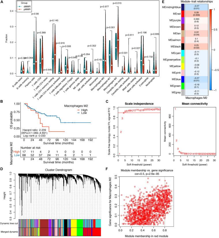 https://cdn.ncbi.nlm.nih.gov/pmc/blobs/1bb4/8116739/2fdb335d1d05/fmolb-08-649363-g002.jpg