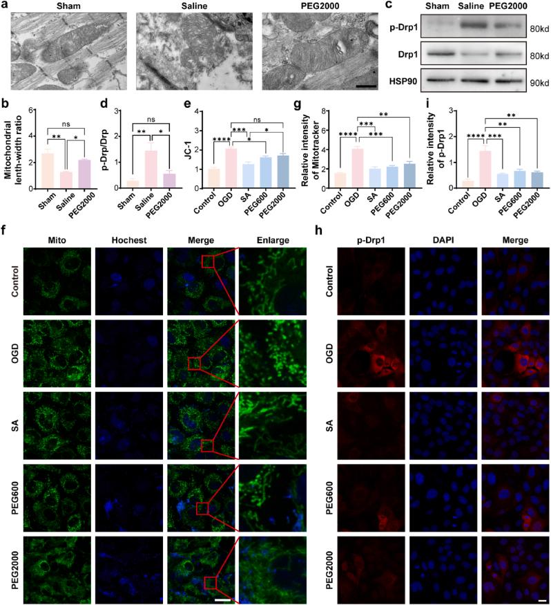 https://cdn.ncbi.nlm.nih.gov/pmc/blobs/1bb5/12033917/df0f58b77e61/gr4.jpg