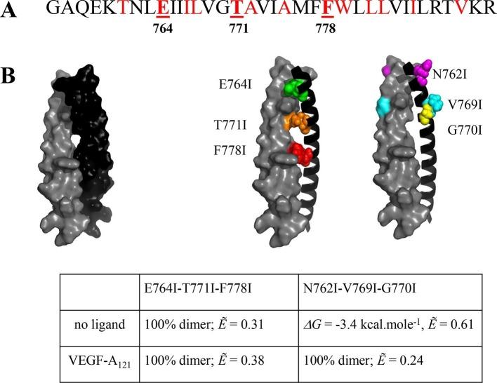 https://cdn.ncbi.nlm.nih.gov/pmc/blobs/1bb6/4829425/67ce6f8a5a80/elife-13876-fig4.jpg