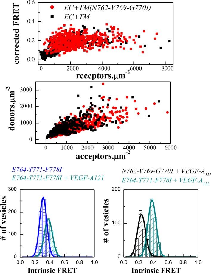 https://cdn.ncbi.nlm.nih.gov/pmc/blobs/1bb6/4829425/68f92e82f84e/elife-13876-fig4-figsupp1.jpg
