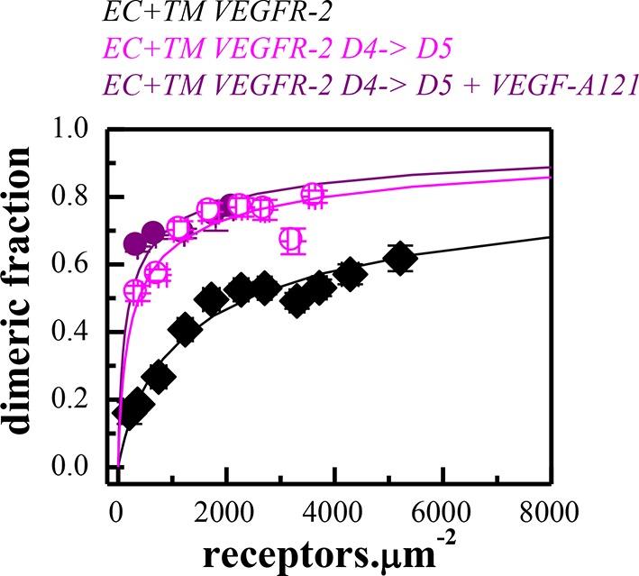 https://cdn.ncbi.nlm.nih.gov/pmc/blobs/1bb6/4829425/ebc6201bba96/elife-13876-fig5-figsupp1.jpg