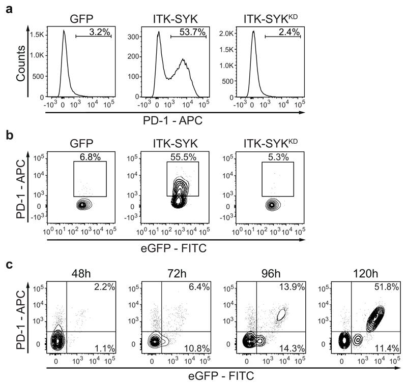 https://cdn.ncbi.nlm.nih.gov/pmc/blobs/1bb7/5821214/7aacf34b0103/emss-74695-f008.jpg