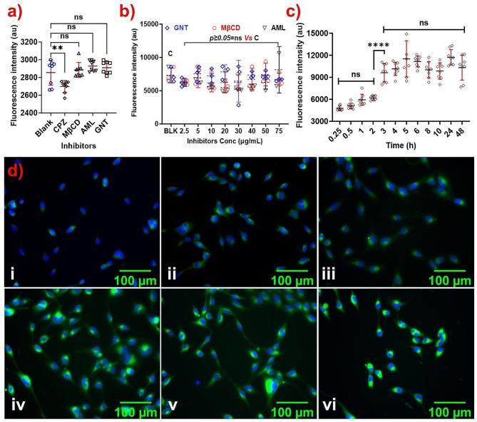 https://cdn.ncbi.nlm.nih.gov/pmc/blobs/1bb8/11321169/35443a0c4905/12951_2024_2686_Fig6_HTML.jpg
