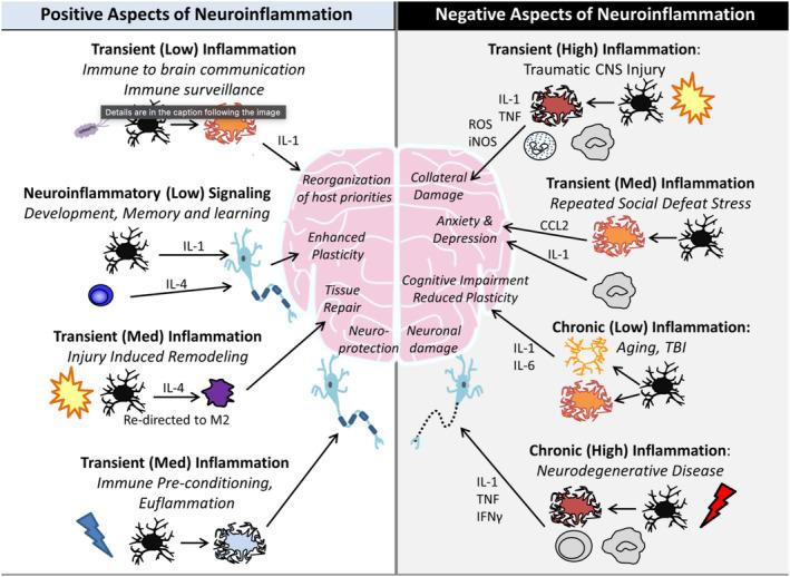 https://cdn.ncbi.nlm.nih.gov/pmc/blobs/1bb8/11896938/8e725648e062/JMRI-61-1580-g004.jpg