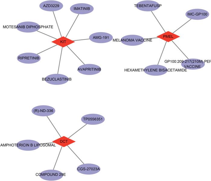 https://cdn.ncbi.nlm.nih.gov/pmc/blobs/1bb8/12234326/7475912bcdd3/fgene-16-1620749-g007.jpg