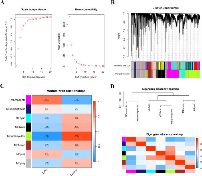 https://cdn.ncbi.nlm.nih.gov/pmc/blobs/1bb8/12234326/ec78618b9072/fgene-16-1620749-g002.jpg